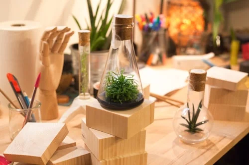 LAGENCE-inplanta-plantaphore01 Packaging Beauty Garden