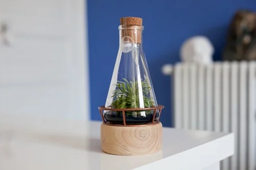 LAGENCE-inplanta-plantaphore02 Packaging Beauty Garden