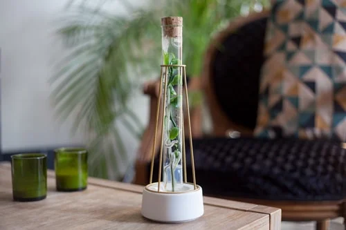 LAGENCE-inplanta-plantaphore03 Packaging Beauty Garden