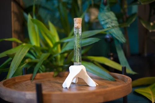 LAGENCE-inplanta-plantaphore04 Packaging Beauty Garden