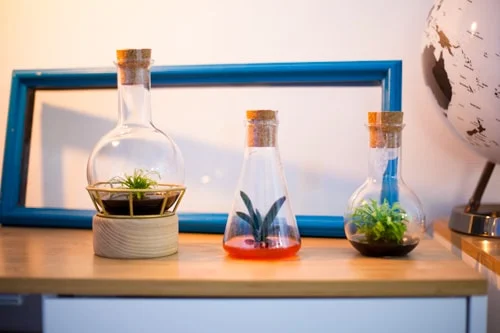 LAGENCE-inplanta-plantaphore05 Packaging Beauty Garden