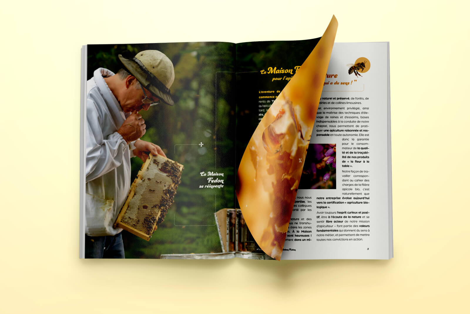 Maison Fedon 2 catalogue fedon A5 page int