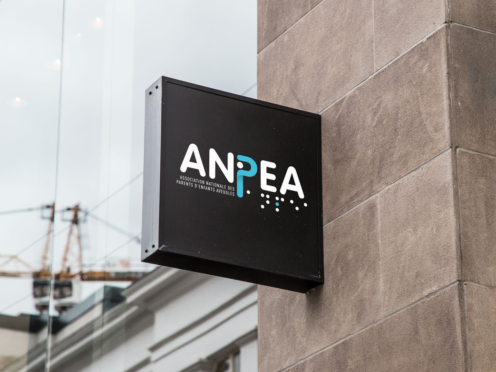 ANPEA logo2 mockup