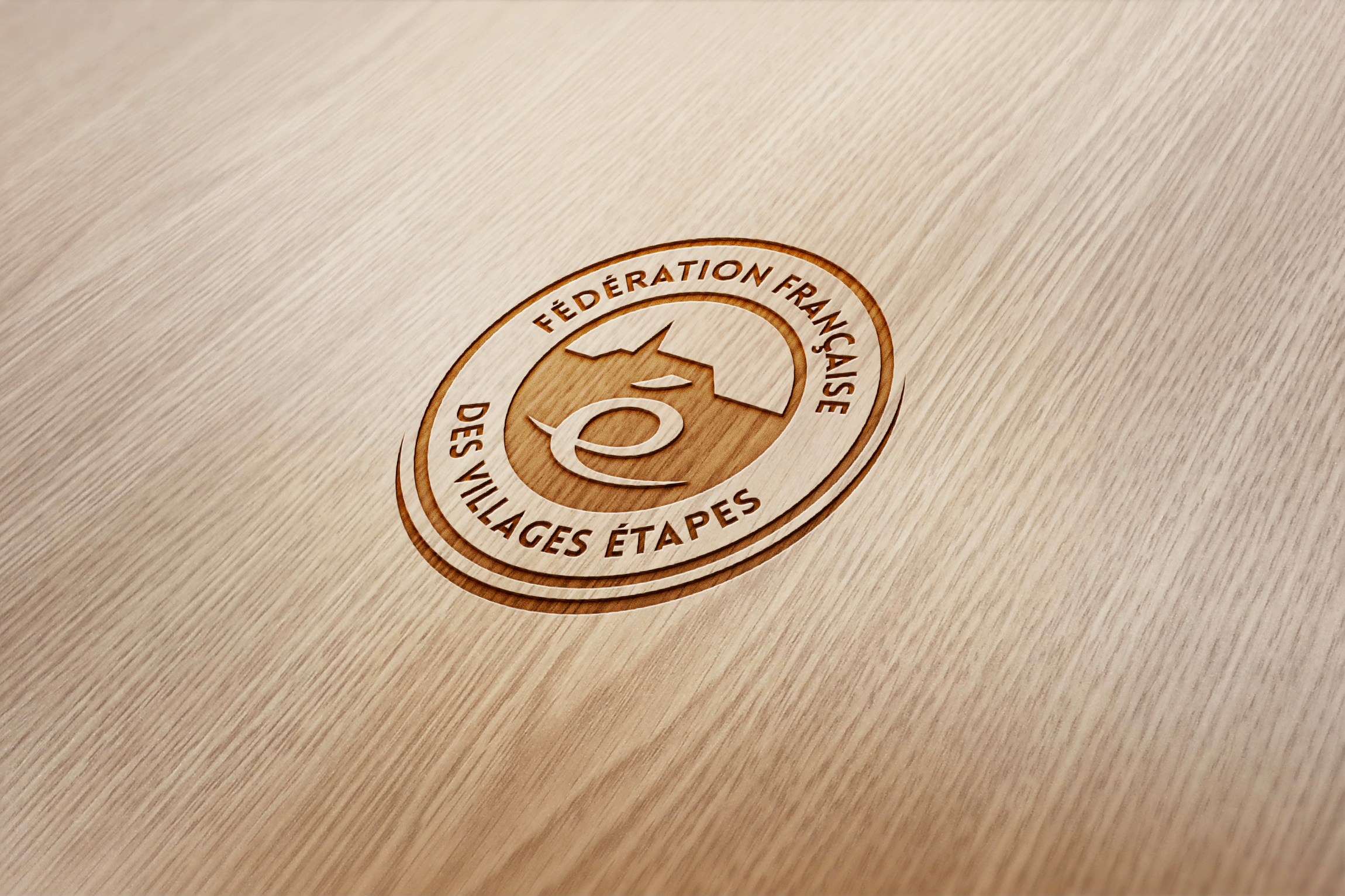 FFVE logo BOIS
