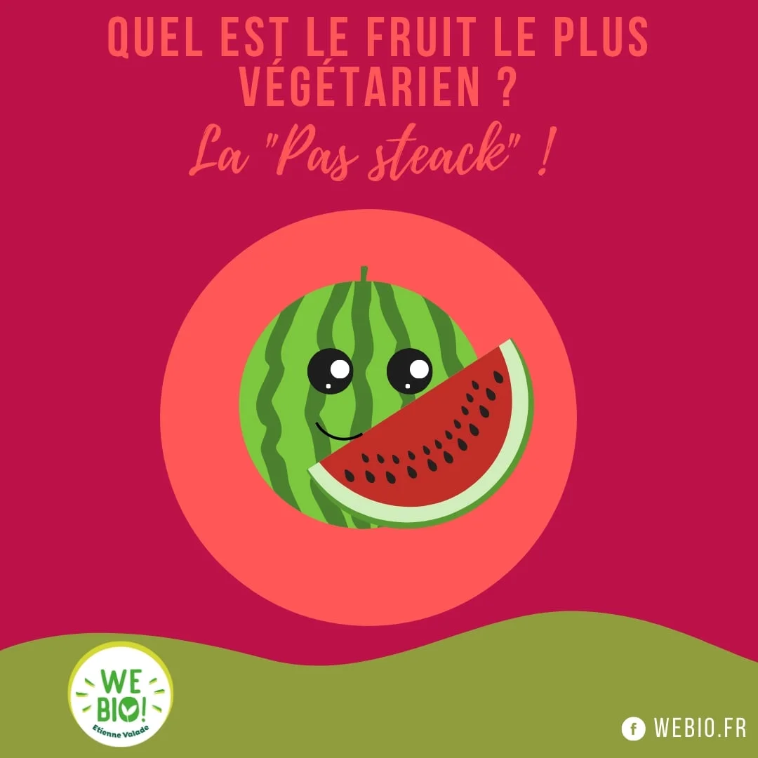 Webio 4 webio mascottes