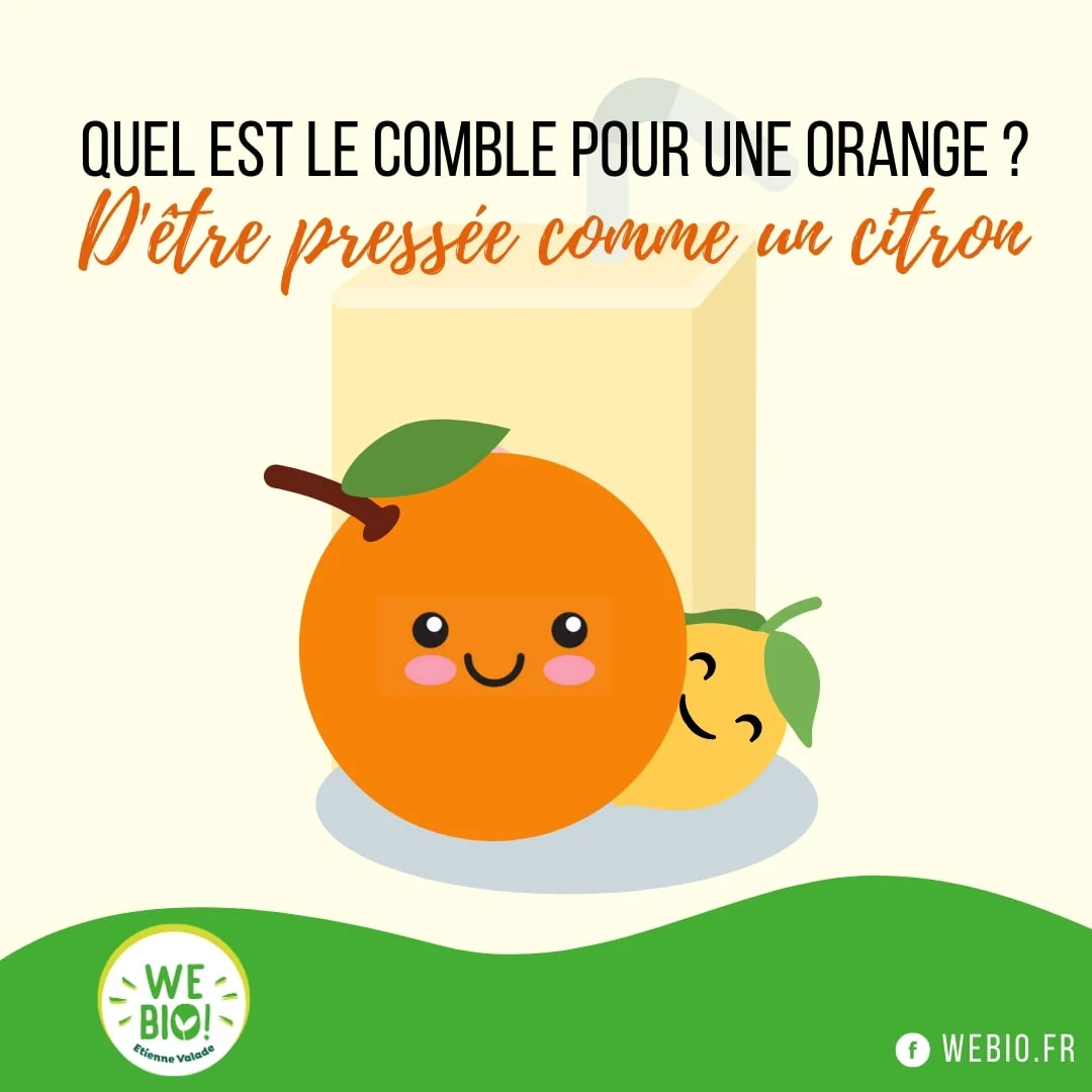 Webio 8 webio mascottes