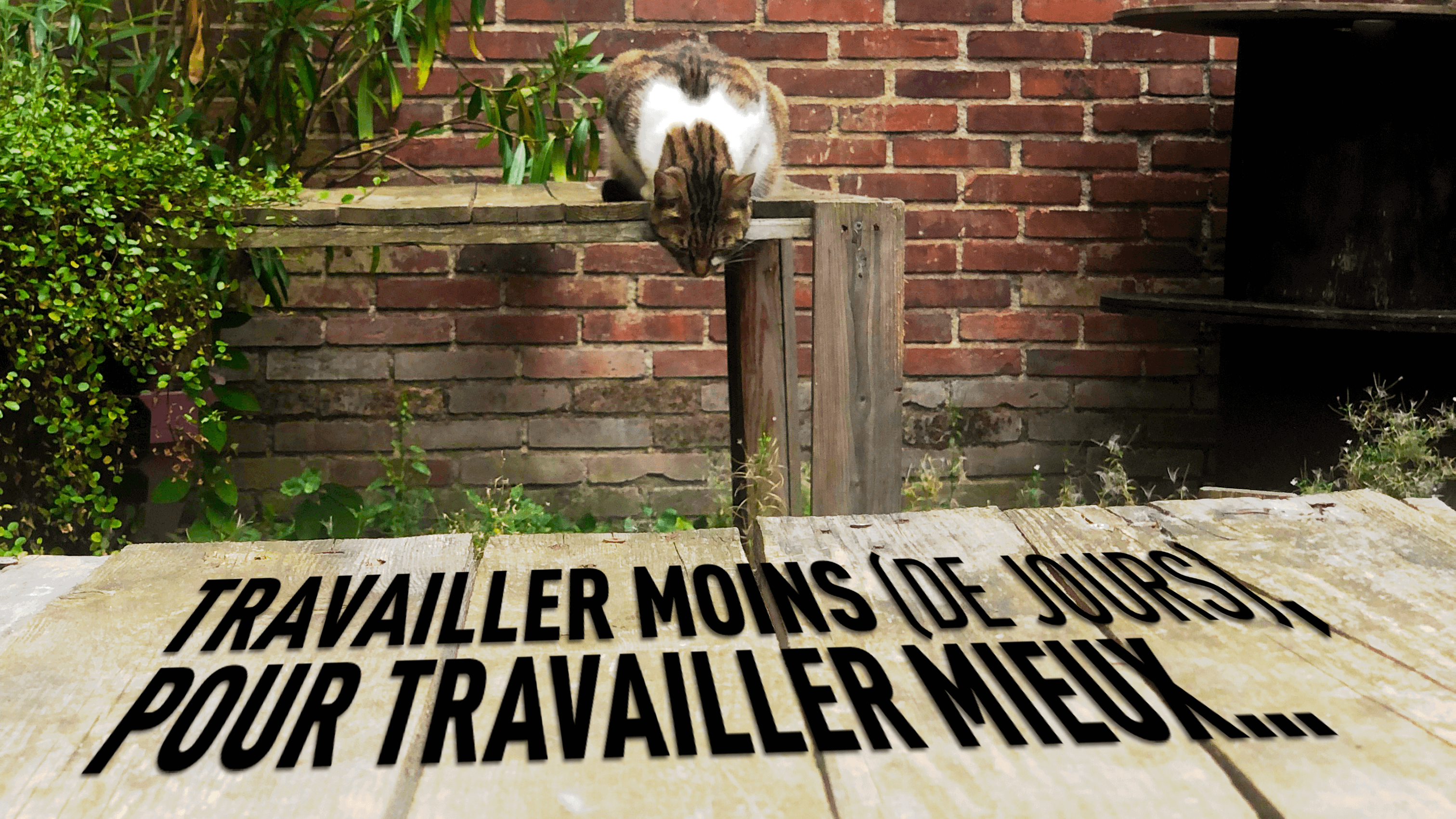 TRAVAILLER MOINS POUR TRAVAILLER MIEUX TRAVAILLER MOINS POUR TRAVAILLER MIEUX
